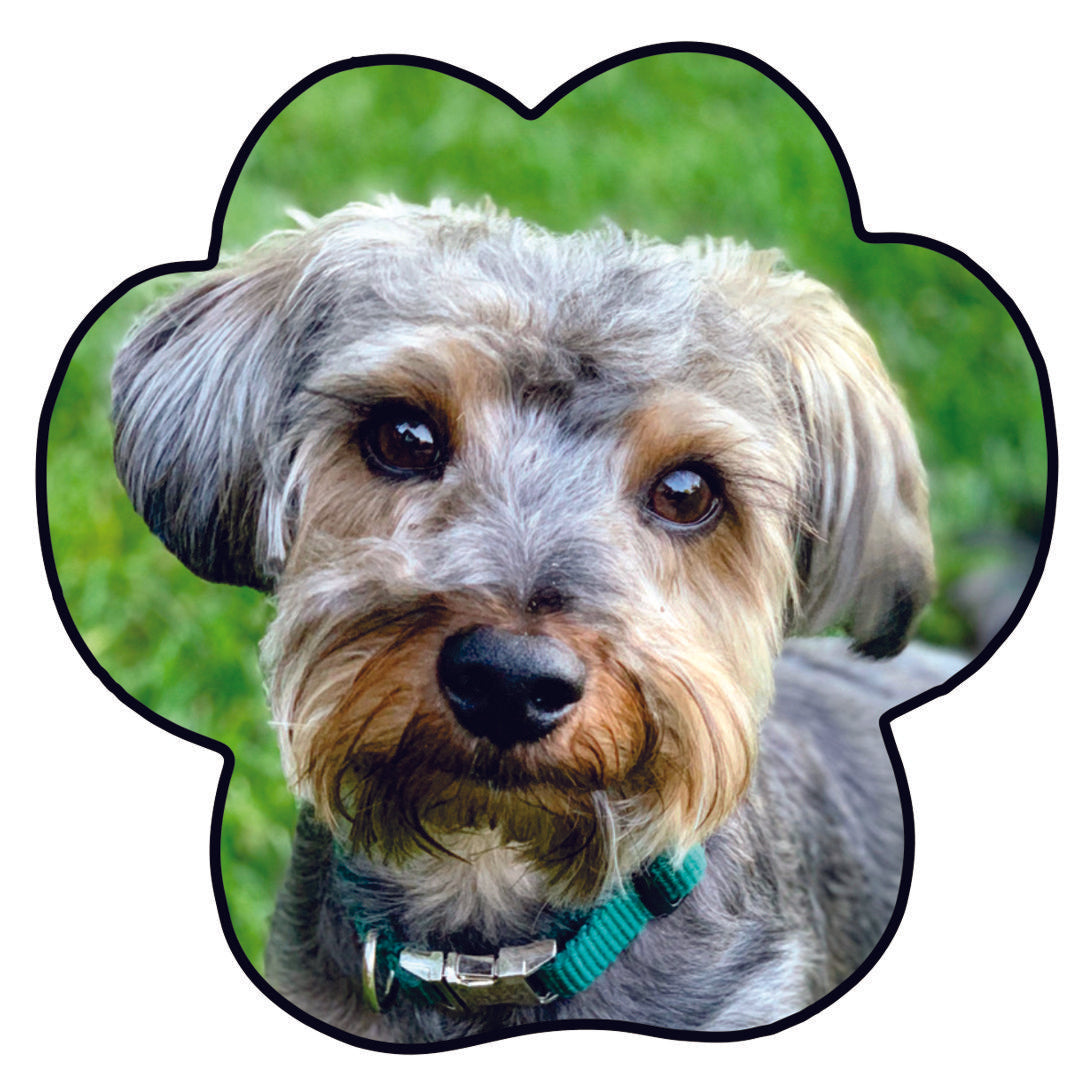 Personalized Photo Dog Paw Magnet - Design Your Own