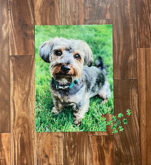 Personalized Photo Puzzle, 500 Pieces - Design Your Own