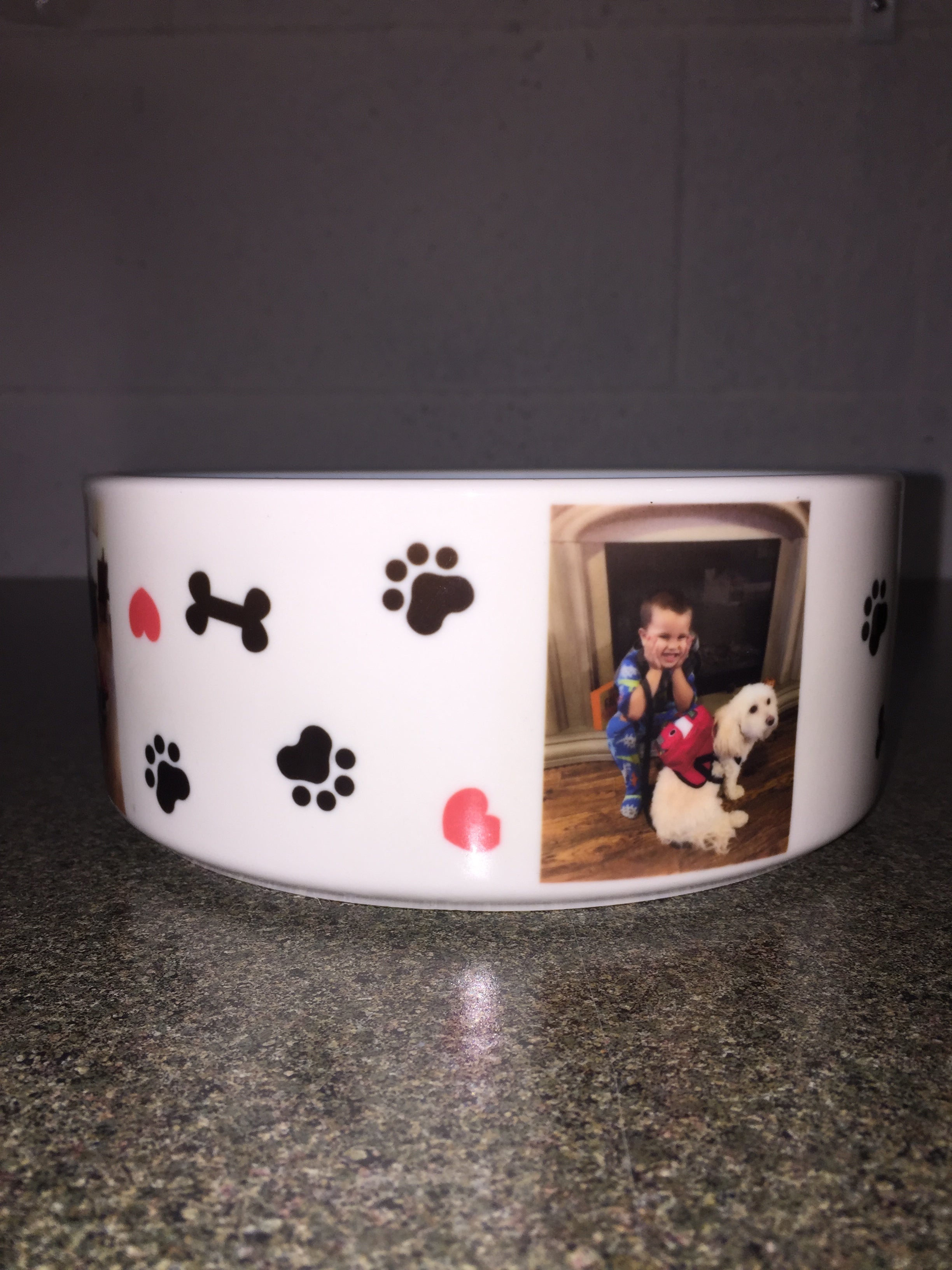 Personalized Pet Bowl - Design Your Own