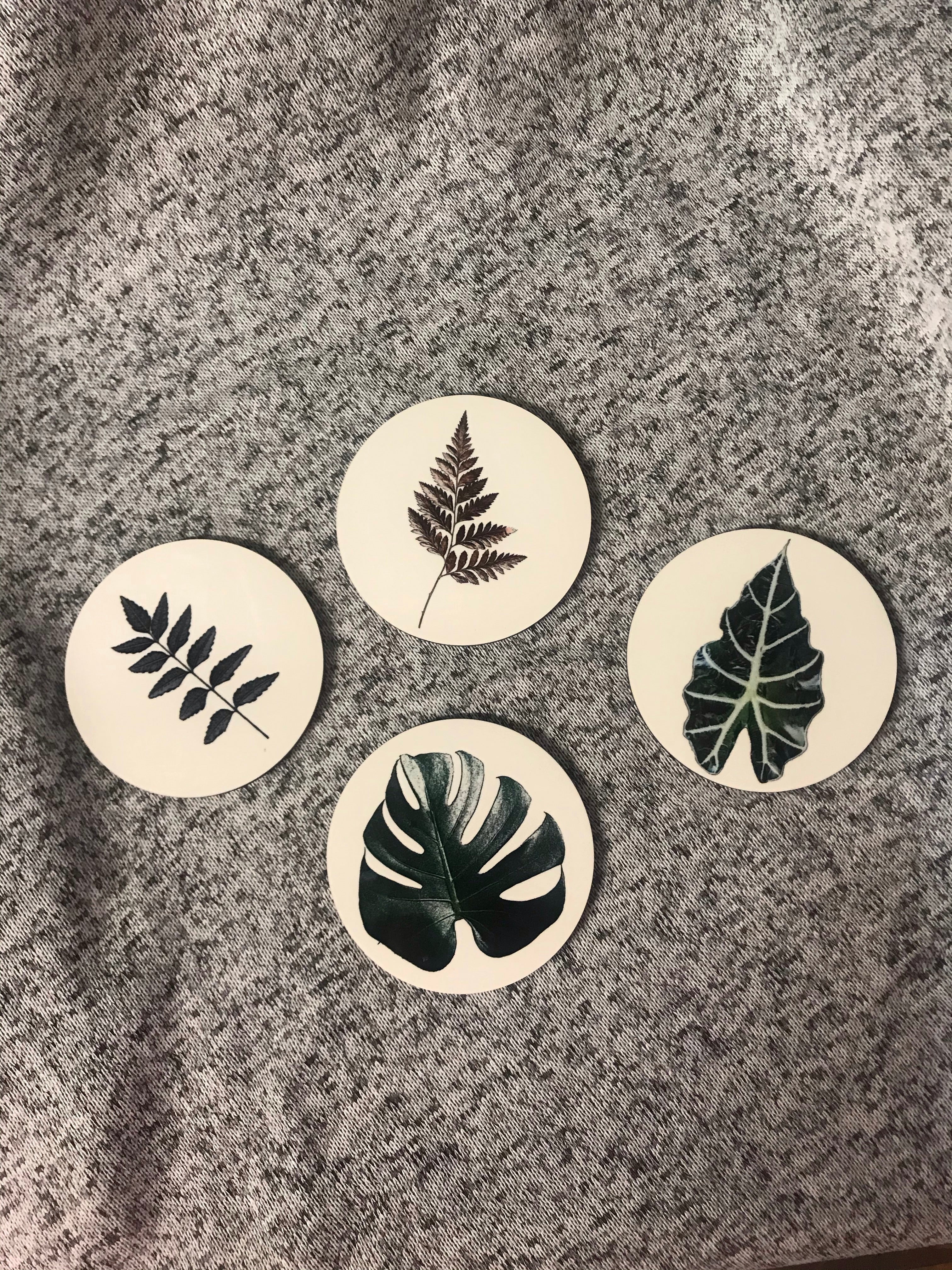 Plant Coasters - Round with Cork Bottom, Set of 4