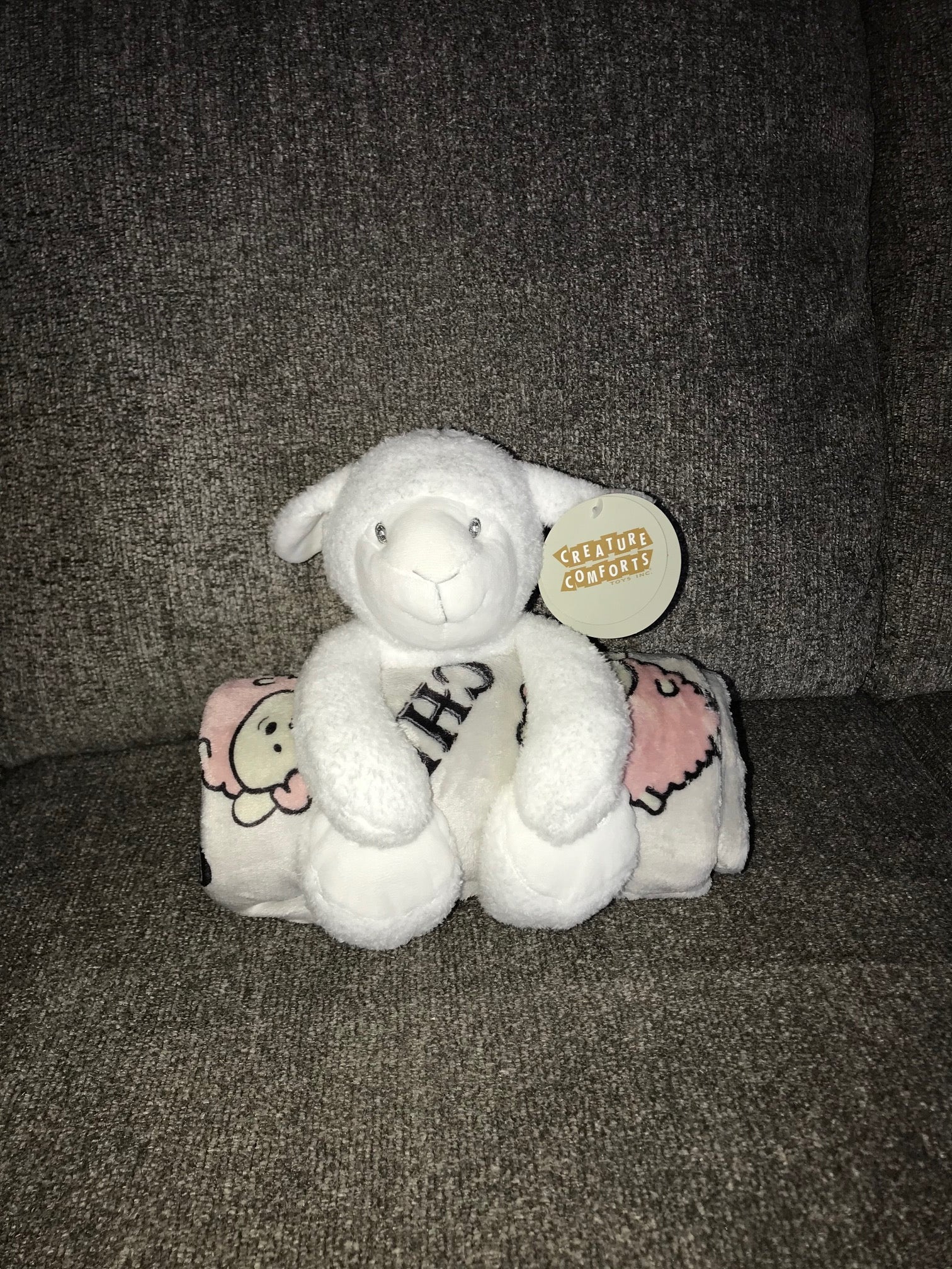 Personalized Baby Blanket and Stuffed Lamb - Ideal Gift Set